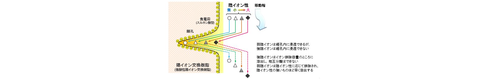 図26-1　イオン排除クロマトグラフィの分離機構の概念図