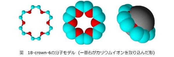 18-crown-6の分子モデル
