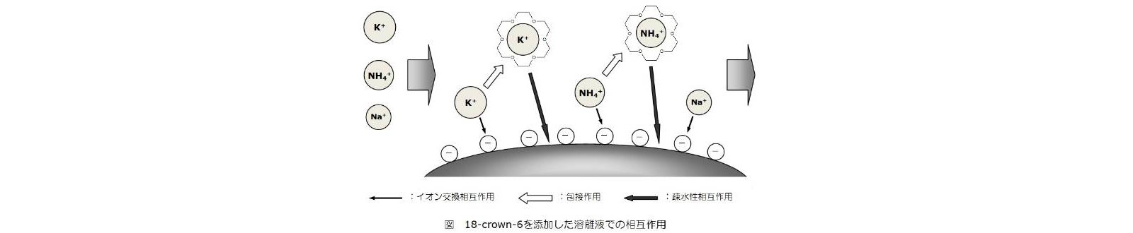 18-crown-6を添加した溶離液での相互作用