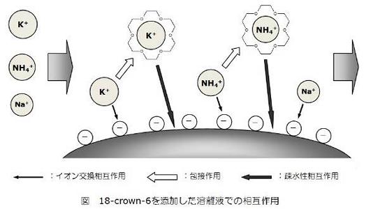 18-crown-6を添加した溶離液での相互作用
