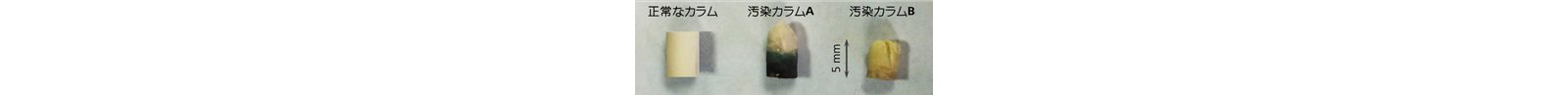図2 長期間使用して性能低下したガードカラム充填剤の写真