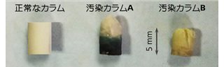 図2 長期間使用して性能低下したガードカラム充填剤の写真