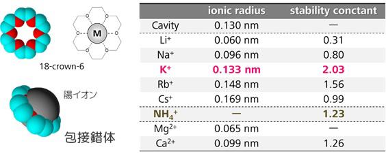 図10-1　18-crown-6の包接化合物，及び陽イオンのイオン半径と錯安定度定数