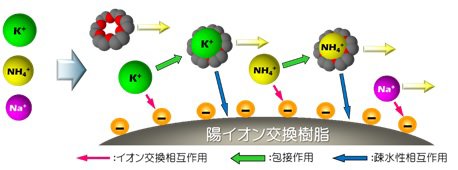 図10-2　18-crown-6 添加溶離液系における相互作用