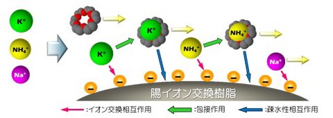 図10-2　18-crown-6 添加溶離液系における相互作用